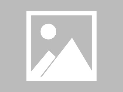 建材行业创新实践与未来启示